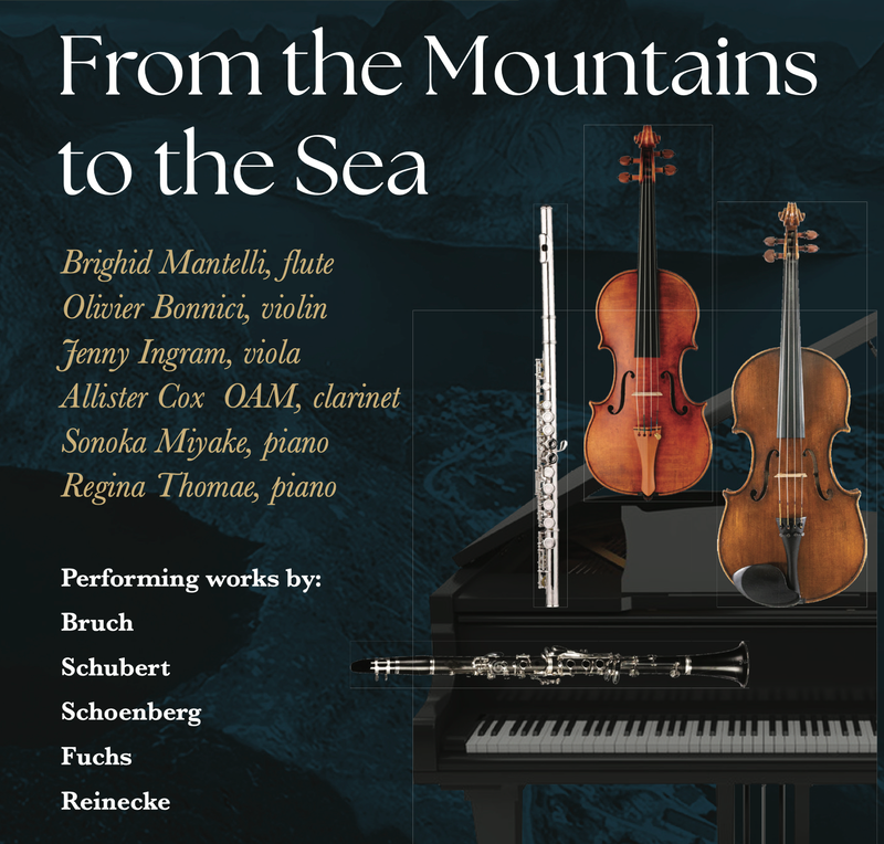 concert flyer