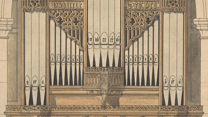 image of organ